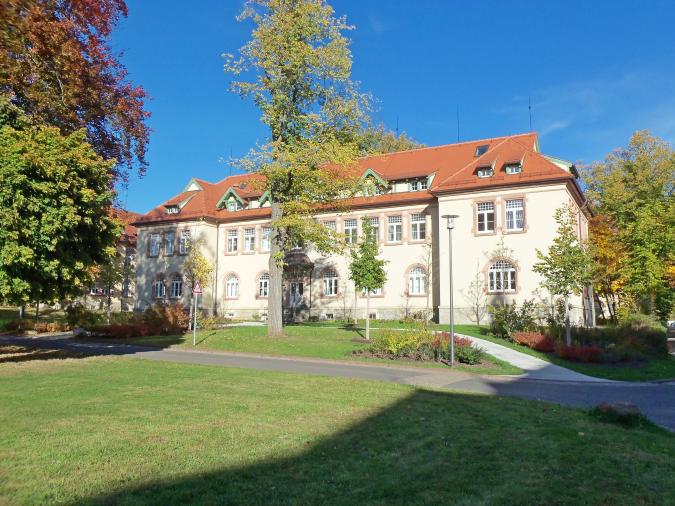 Blick auf das Schulgebäude, davor steht ein großer Baum.