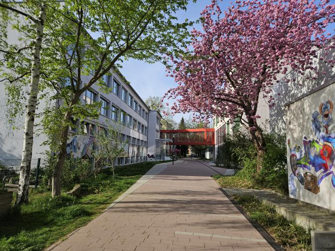 Blick auf den Schulcampus, durch eine rote Brücke miteinander verbunden, blühende Bäume